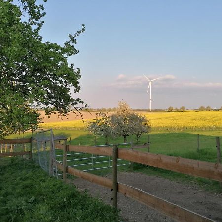 Sinnes Wandel Hof Serka Grimma Exteriér fotografie
